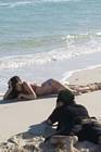 Ashley Greene Naked