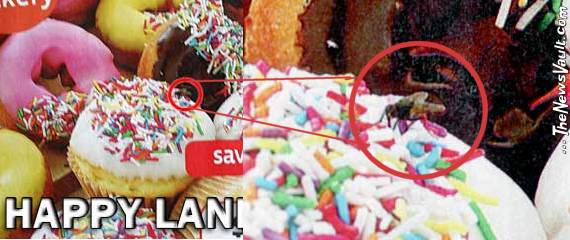 Coles Fly On Cupcake