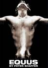 Daniel Radcliffe Equus Poster