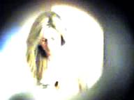 Erin Andrews Nude Peephole Video