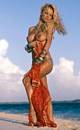 Pamela Anderson Nude
